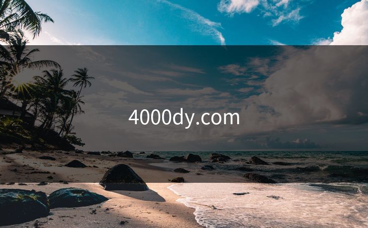 4000dy.com