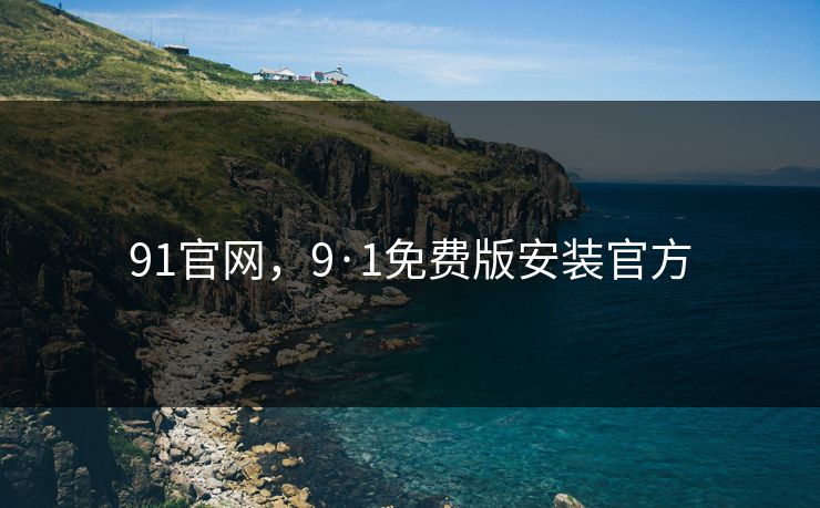 91官网，9·1免费版安装官方