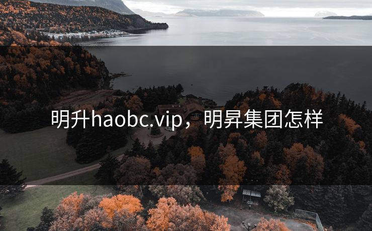 明升haobc.vip，明昇集团怎样