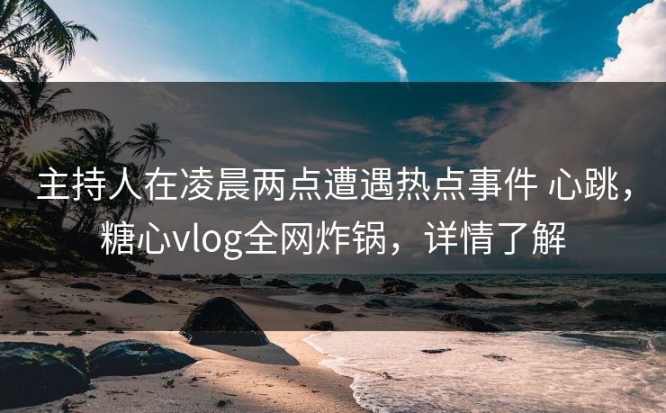 主持人在凌晨两点遭遇热点事件 心跳，糖心vlog全网炸锅，详情了解
